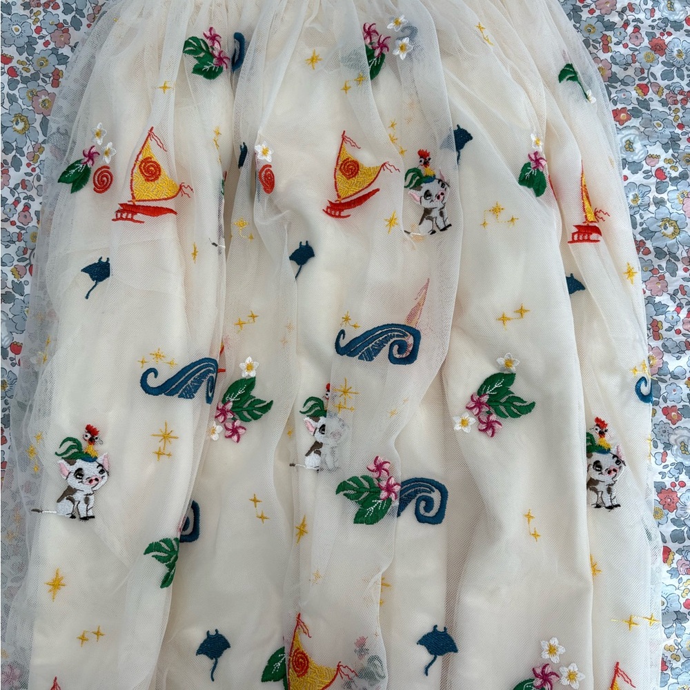 Hanna Andersson Disney Princess  Embroidered Tulle Skirts Set - Picture 4 of 9